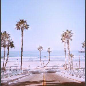 Meet your Posher, Cassidy